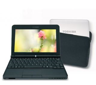 Toshiba NB205N210 Intel Atom 160GB 10.1 BlackMini Ntbk w/Bag