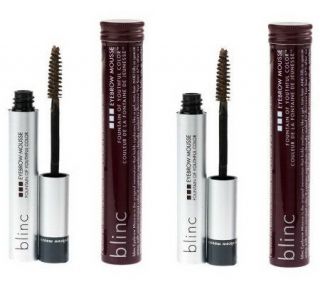 blinc Fountain of Youthful Color Brow Mousse Duo —