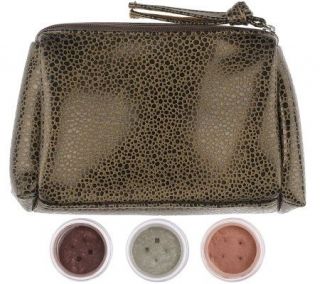Bare Escentuals The Sure Thing 3 pc. Eye Color Collection with Bag