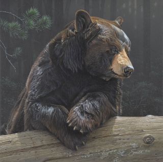 Daniel Smith LOGGING ON, Black Bear, giclee canvas #150/150