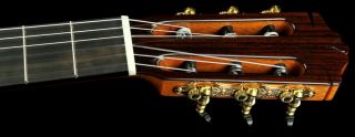 Cordoba C9 Nylon String Acoustic Guitar w Ebony Fretboard