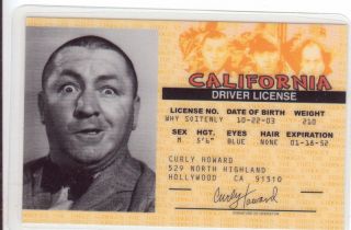 Pick Curly Howard of The Three Stooges Marilyn Monroe The Godfather or