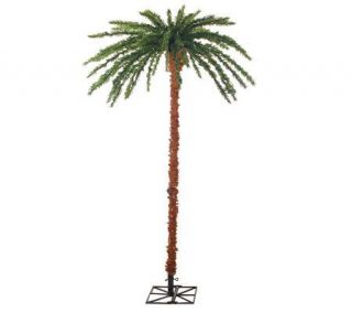 72 Prelit Palm Tree By Sterling —
