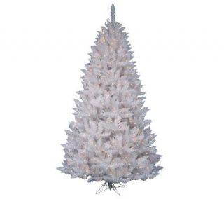 White Sparkle Spruce Tree w/ Clear Dura Lit Lights —