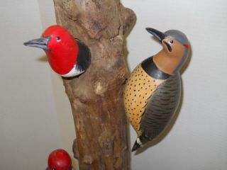 Woodpecker Pole with 4 birds by Zack Ward Crisfield Maryland