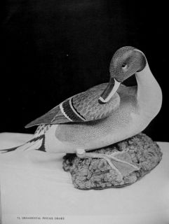 1970? Ward Crisfield Atlantic Hunting Decoys Duck Goose Swan MANY