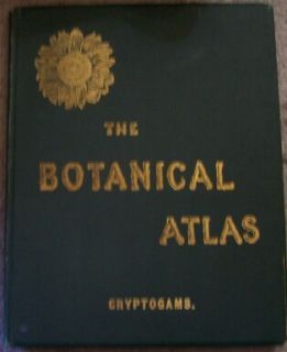 Book Botanical Atlas Study Plant Cryptograms Lithograph