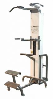 Cybex Assisted Chin Dip Pull Up Exercise Fitness Strength Training Gym