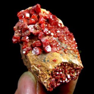 Red Vanadinite Crystal Cluster VAMO9IE0104