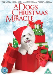  Miracle New PAL Kids Family DVD Michael Feifer Cynthia Gibb