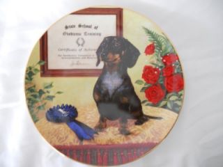 Darby Mint The Graduate by Christopher Nick Collection Dachshunds