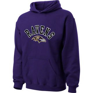 Baltimore Ravens Youth Purple NFL Sportsman Logo Pullover Fleece