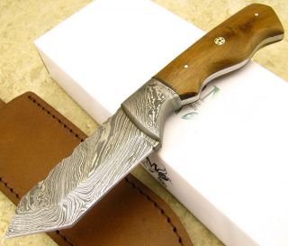 Damascus Steel Fixed Tanto Blade Knife Hunter Wood Handle Brown Sheath
