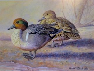 david plank original w c painting wood ducks