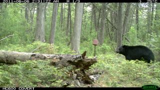  HC600 Hyperfire Covert IR Scouting Game Deer Trail 3 1MP Camera