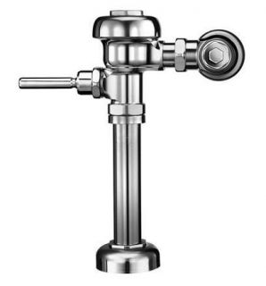 Quiet, exposed, chrome plated flushometer, suitable for floor mounted