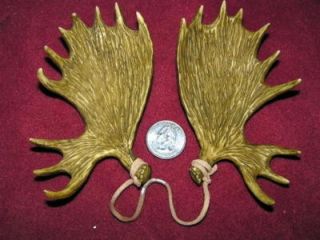 moose shed antler set ornament horns antlers