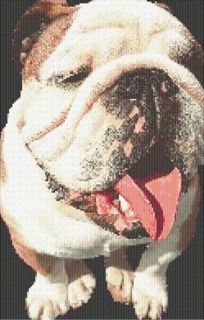 Bulldog Counted Cross Stitch Pattern 1001 Animals Dogs Chart