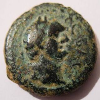 Domitian Bronze City Coin Ashkelon Archaeology