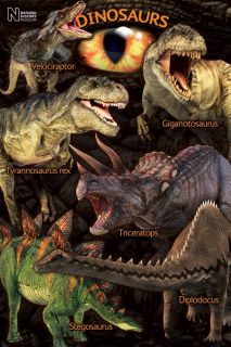  36 inches) poster   Dinosaurs Poster   Natural History Museum Poster