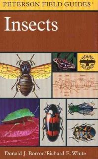  Guide to Insects Richard E White Donald J Borror Paperback New