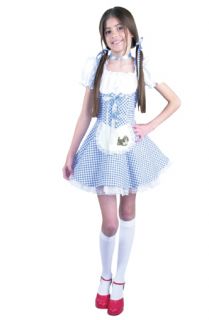 Charades Dorothy Wizard of oz Child Costume w Petticoat