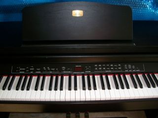 BEHRINGER Eurogrand Digital Piano