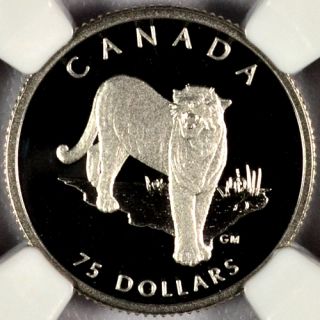 1992 Canada 1 4 oz Platinum Endangered Wildlife Cougar $75 NGC PF70 UC