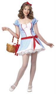 Storybook Dorothy Wizard of Oz Teen Girls Costume