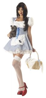 Storybook Sweetheart Wizard of oz Dorothy Adult C01293