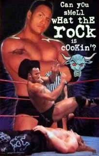 Dwayne The Rock Johnson 23x35 WWE WWF Poster 1999