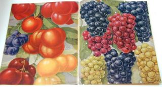 Stark Bros Fruit Tree Catalog 1927 Beautiful Graphics