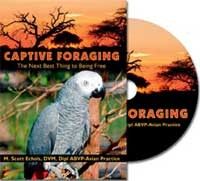 Captive Foraging DVD for Parrots M Scott Echols New