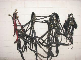 Draft Horse Team Harness with Lines and Bridles