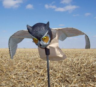 Edge Expedite Prowler Owl Decoy Crow Garden Scarecrow