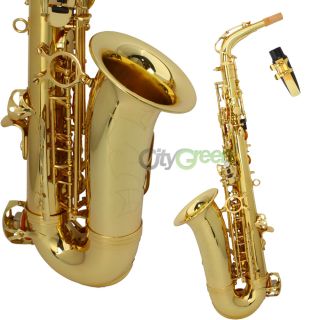 New Alto Eb Golden Saxophone Sax Paint Gold + Case & Accessories