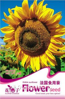 Bag 15 Seed France Edible Sunflower Flower Seed A007