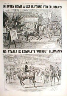 1892 Sidesaddle Ellimans Linament Advertisement Whoa