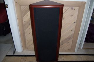 SINGLE EMPTY LATEST VERSION ALLISON 3 SPEAKER CABINET WITH SOME