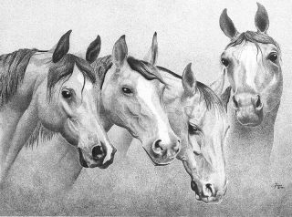Horse Art Signed by Artist Lithograph Print
