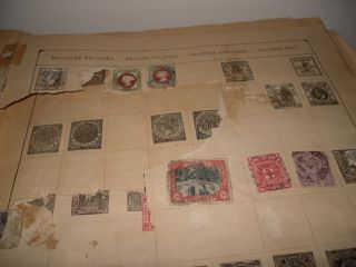 World Stamps Collection in Old Schwaneberger Album