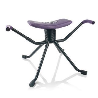  rhythm rocker exercise system with 2 workout dvds rating 29 $ 99 95 or