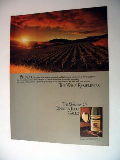 Gallo Riesling Wine Winery Vineyard Scene 1980 Print Ad