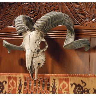Exotic Animal Replica RAM Skull Curled Horns Wall Mounted Trophy Wall