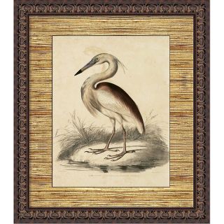 109 8701 house beautiful marketplace framed giclee print coastal birds
