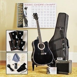 Estebans Guitar Full Complete Set New in Box