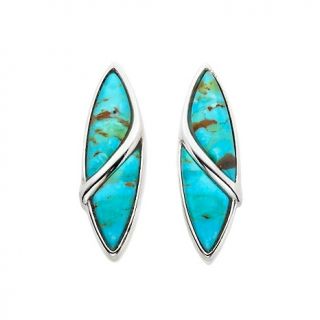 226 126 mine finds by jay king sonoran turquoise sterling silver