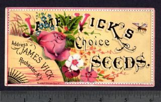  farm garden authentic collectible antique vegetable and flower seed