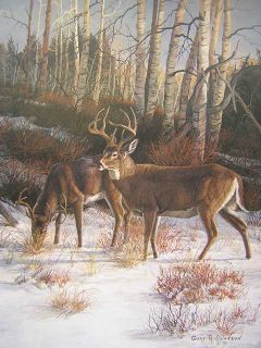Gary Swanson Regal Companions Whitetail Deer Print