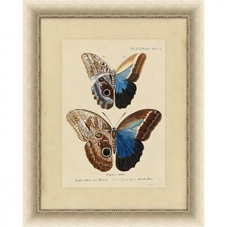 House Beautiful Marketplace Framed Giclée Print   Exotic Butterfly